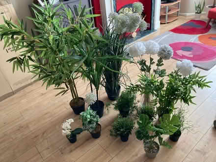Photo of free Artificial plants (Tottenham N18) #1