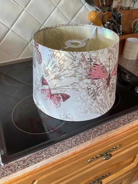 Photo of free Light/Lamp Shade (Watton, IP25) #1