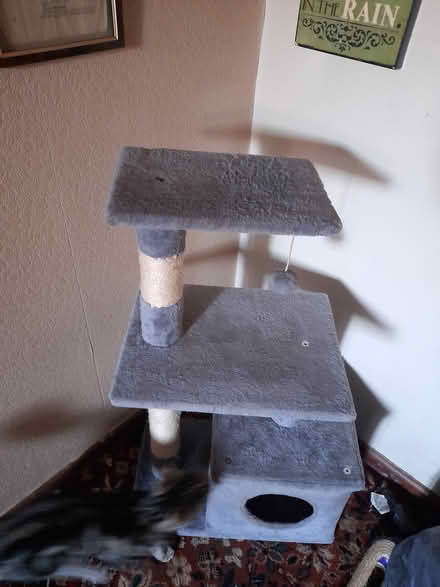 Photo of free Cat Tree (Shelton Lock,) #1