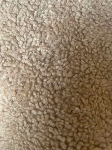Photo of free 3’ x 5’ brown fuzzy material (Saratoga) #2