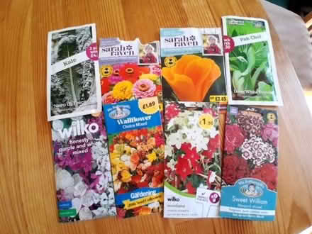 Photo of free Seeds (Cowley OX4) #1