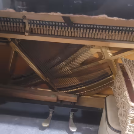 Photo of free KNIGHT Piano (E16) #4