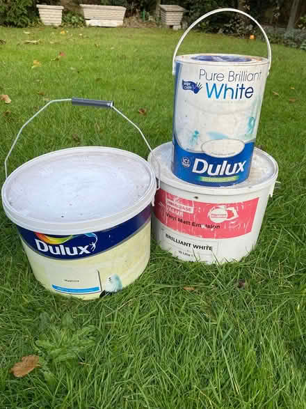 Photo of free Emulsion two white, 1 Magnolia (Aldridge) #1