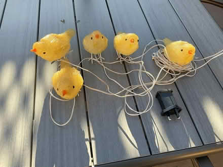 Photo of free Bird Lights (Byfleet - KT14) #1