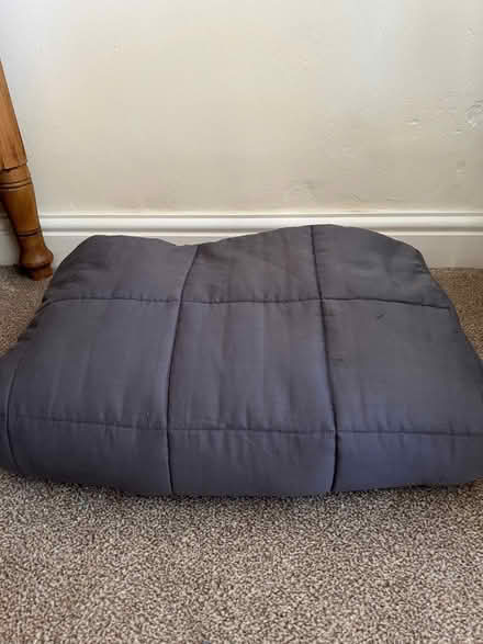 Photo of free Large Weighted Blanket (Rowsley DE4) #1