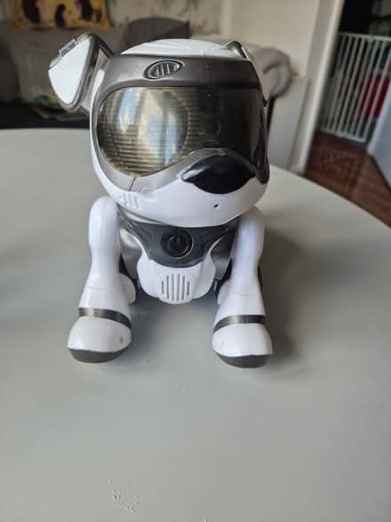 Photo of free Teksta robot dog (Bellingham SE6) #1