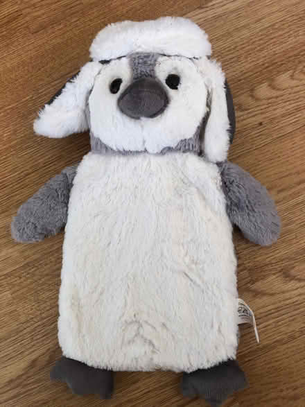 Photo of free Cute penguin hot water bottle unused (Cold Harbour OX1) #1