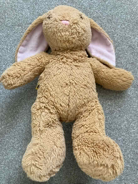 Photo of free Build a bear cat and bunny (Ringwood) #4