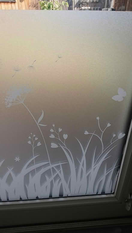 Photo of free privacy window film (SG8 (Melbourn)) #1