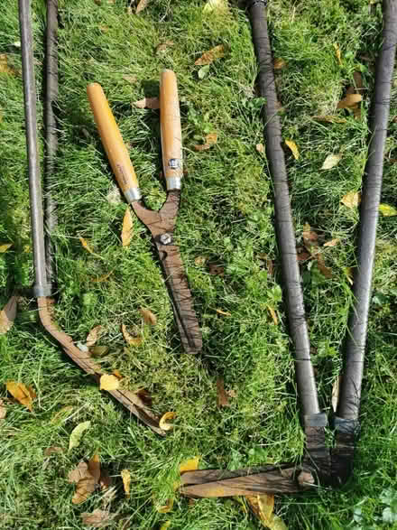 Photo of free Garden tools (Menzieshill DD2) #1