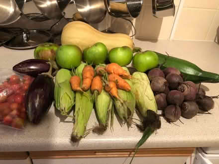 Photo of free Fresh, organic, surplus garden vegetables (Hyde Park LS6) #1