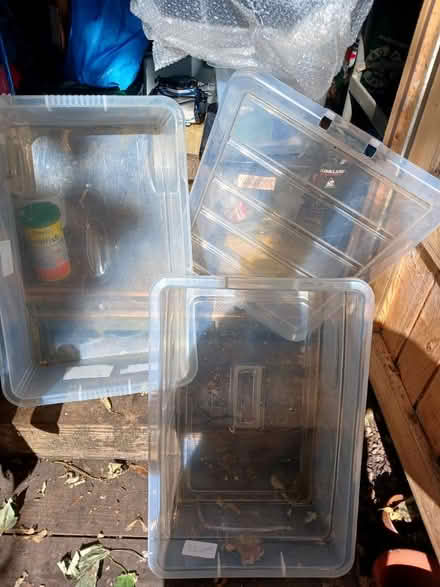 Photo of free Under the bed storage (Boroughbridge) #1