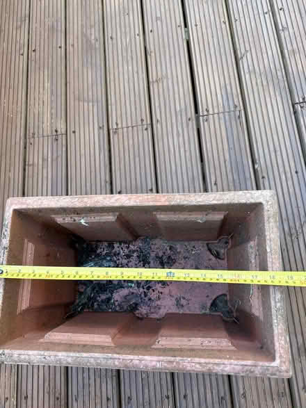 Photo of free Plastic plant pot (Ascot SL5) #3