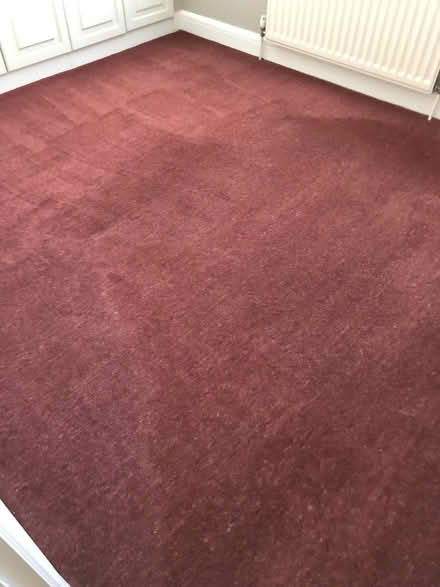 Photo of free Carpet (Hook Heath GU22) #3