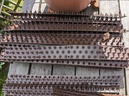 Photo of free Anti-Climb Garden Wall Spikes (SW19) #3