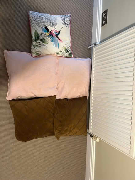 Photo of free Selection of 5 cushions (Long Ditton KT6) #2