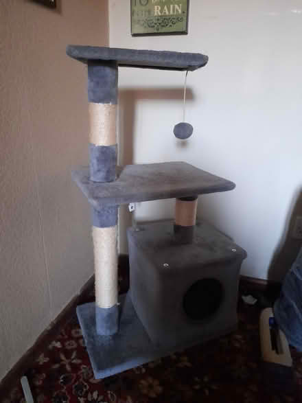 Photo of free Cat Tree (Shelton Lock,) #2