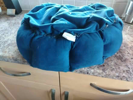Photo of free 2 blue cushioned pet beds (GL51 4UR) #2