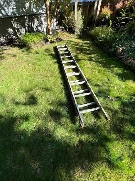 Photo of free 20' aluminum extension ladder (Ballard - Loyal Heights) #1