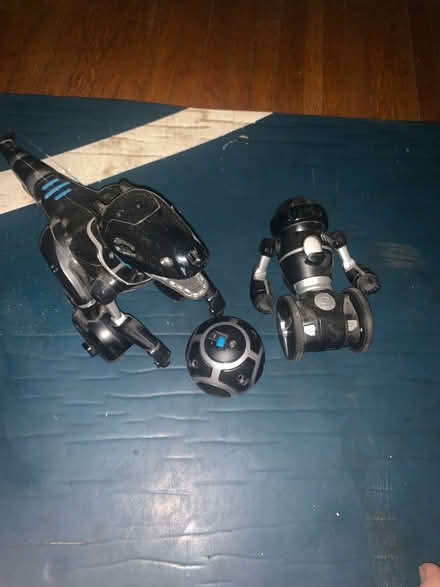 Photo of free Mip and mipasor (Norseland) #1