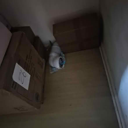 Photo of free Bathroom items (Birmingham) #4