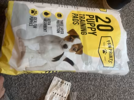 Photo of free Puppy pads (Cross houses) #1