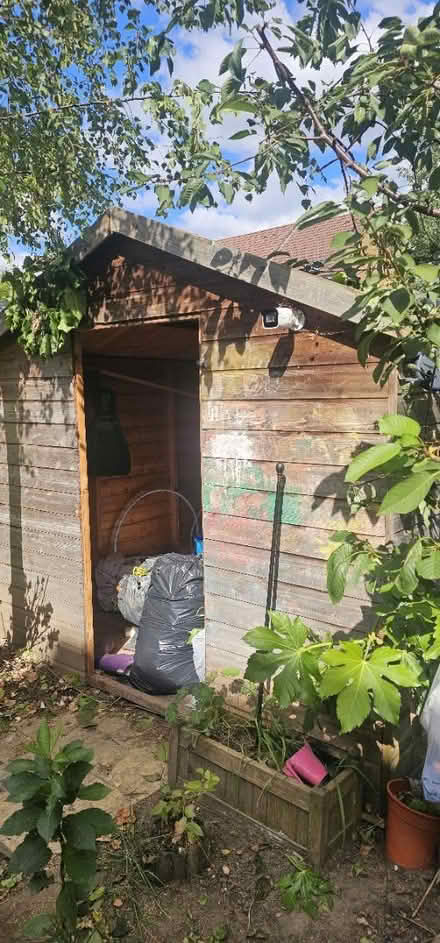 Photo of free Shed (Addiscombe) #1
