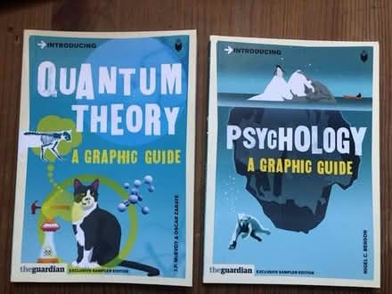 Photo of free 2 Guardian graphic guides (Freehold LA1) #1