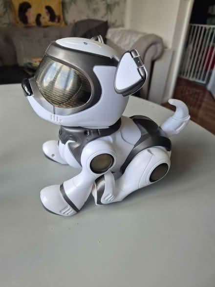 Photo of free Teksta robot dog (Bellingham SE6) #2