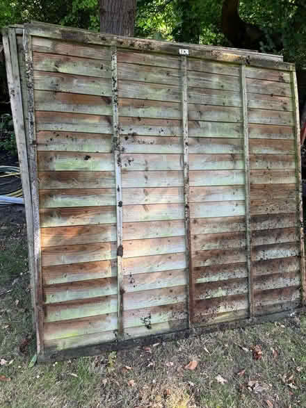 Photo of free 6’by6’ fence panels (Camberley) #2