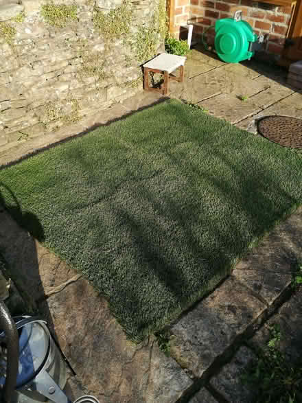 Photo of free Astroturf (Ambergate DE56) #1