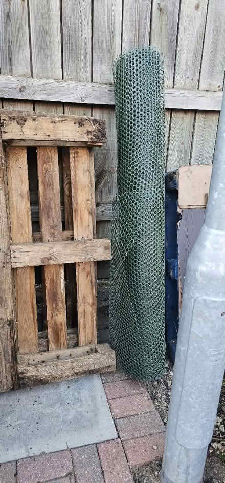 Photo of free Garden net (Addiscombe) #1
