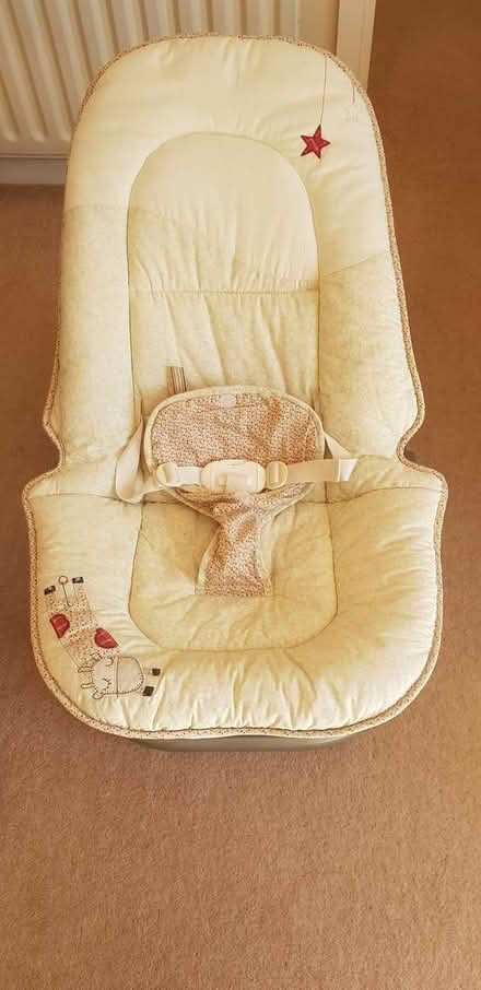 Photo of free baby bouncer (Colyton) #1