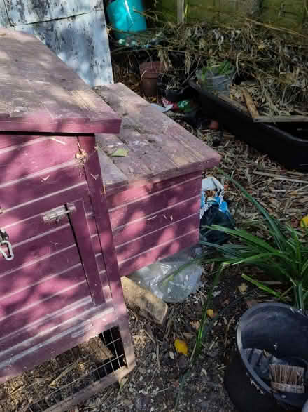 Photo of free Chicken coop, and small run (Seaside BN22) #4