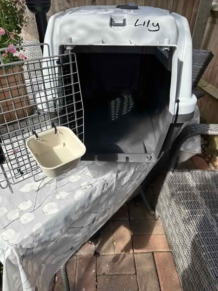 Photo of free Pet Carrier (Molesey KT8) #3