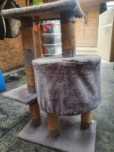 Photo of free Cat scratching post (Bolton, BL6) #2