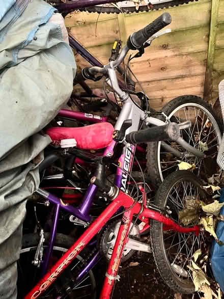 Photo of free Bikes (Finchley N3) #1