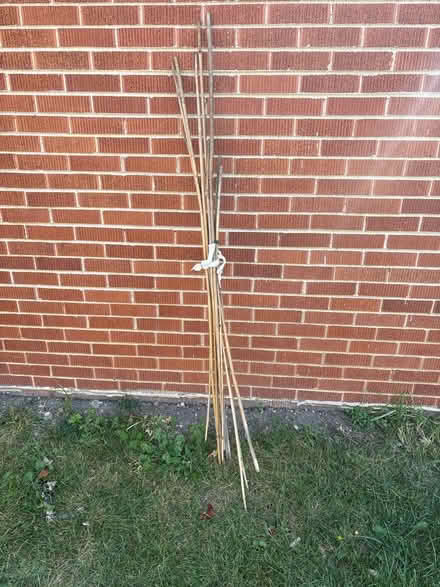 Photo of free Garden Stakes (Skokie) #1