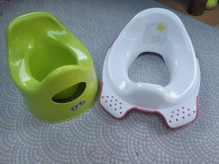 Photo of free Potty & seat reducer (Bath, BA1) #1