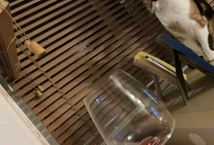 Photo of free Wooden Venetian blinds (Nottingham NG5) #1