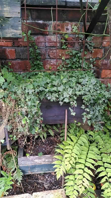 Photo of free Oudoor Planter (Shaw Heath SK3) #4