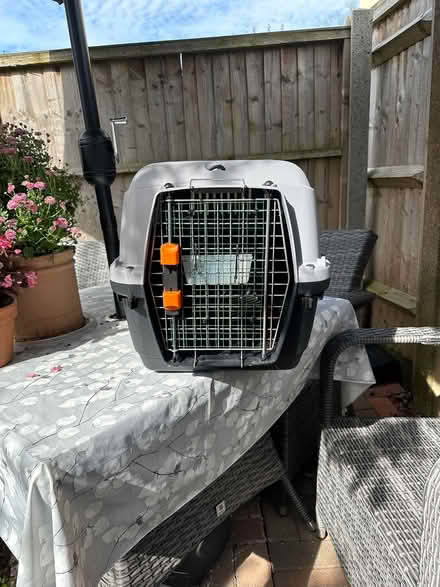 Photo of free Pet Carrier 2 (Molesey KT8) #4