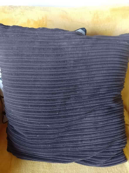Photo of free Dark brown cushions (X2) (Bakewell DE45) #1