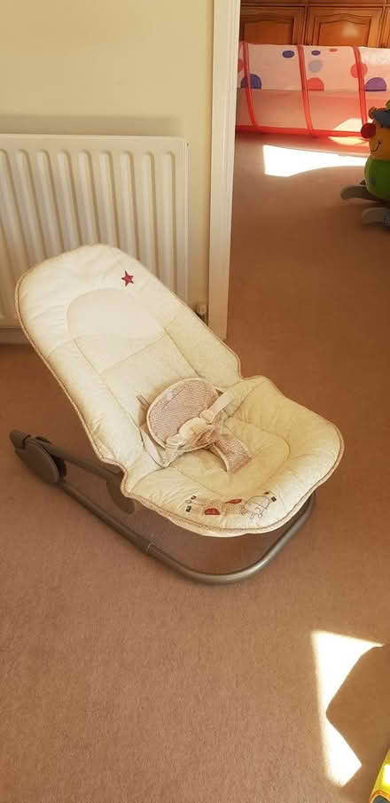 Photo of free baby bouncer (Colyton) #2