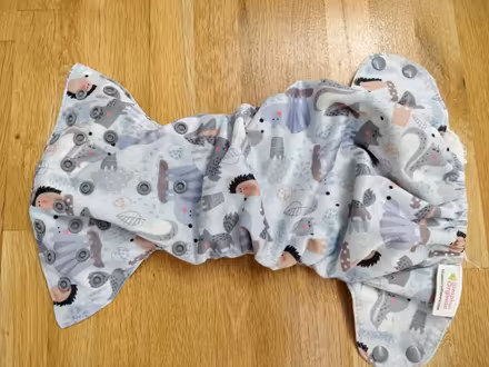 Photo of free 1 reusable nappy (BN43) #1