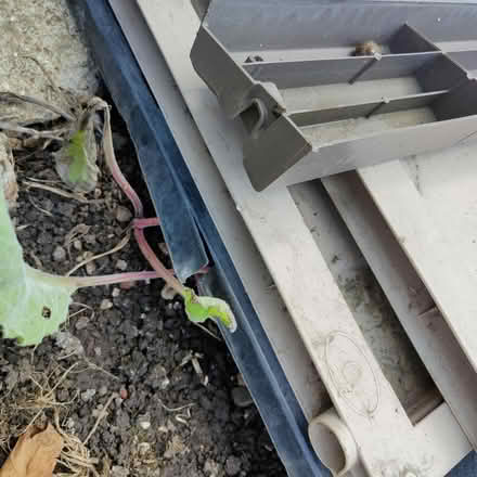 Photo of free Fibre shed (Hanworth TW13) #3