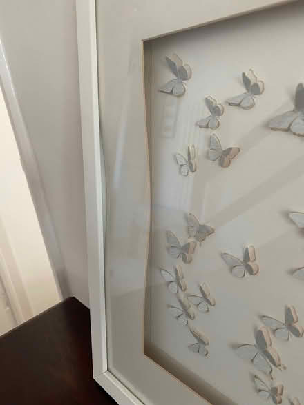 Photo of free 3D butterfly print in frame (Lower Walkley S6) #2
