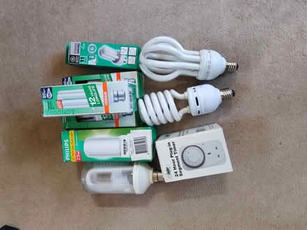 Photo of free Compact fluorescent bulbs (Hazel Grove SK7) #1