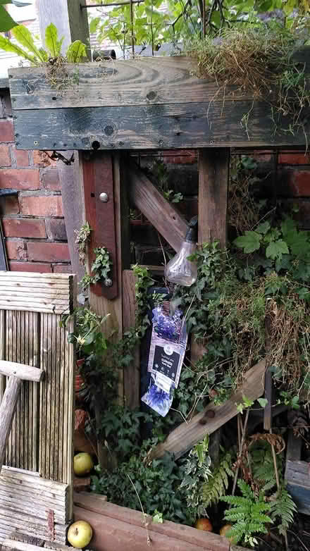 Photo of free Oudoor Planter (Shaw Heath SK3) #1
