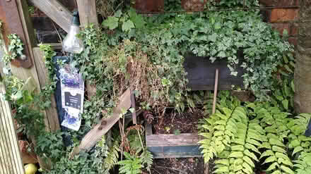 Photo of free Oudoor Planter (Shaw Heath SK3) #3